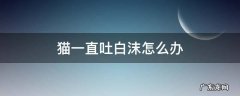 猫一直吐白沫怎么办 猫一直吐白沫怎么办全身很瘦奄奄一息
