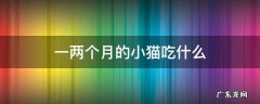 一两个月的小猫吃什么 刚出生一两个月的小猫吃什么