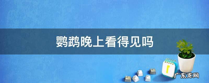 鹦鹉晚上看得见吗? 鹦鹉晚上看得见吗
