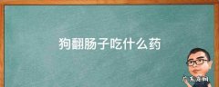 狗翻肠子吃什么药最快 狗翻肠子吃什么药