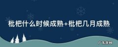 枇杷什么时候成熟 蒙自枇杷什么时候成熟