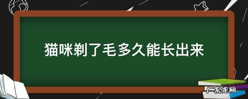 猫咪剃了毛多久能长起来 猫咪剃了毛多久能长出来
