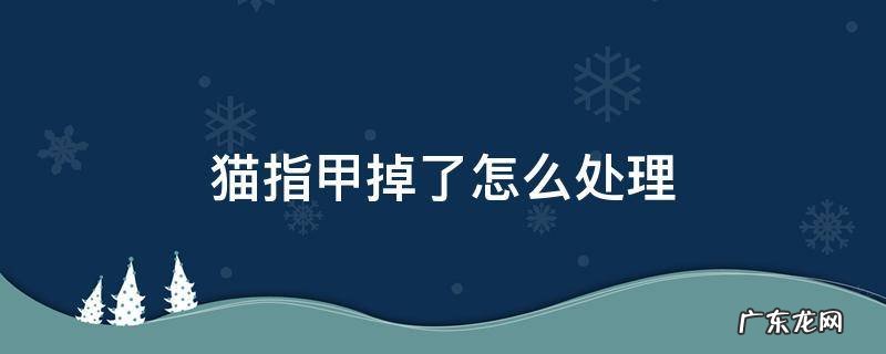 猫指甲掉了怎么办 猫指甲掉了怎么处理