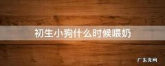 初生小狗什么时候喂奶 刚出生的小奶狗多长时间喂次奶