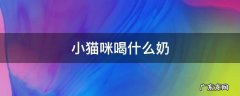 小猫咪喝什么奶 小猫咪喝什么奶粉