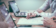 如何轻松做出美味的云南过桥米线？