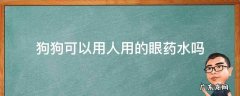 人用的眼药水能不能给狗狗用 狗狗可以用人用的眼药水吗