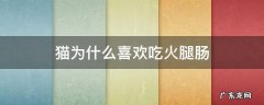 猫为什么喜欢吃火腿肠 猫为什么不喜欢吃火腿肠