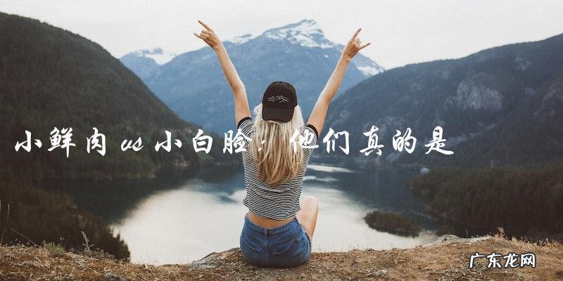 小鲜肉 vs 小白脸：他们真的是同一种类型吗？