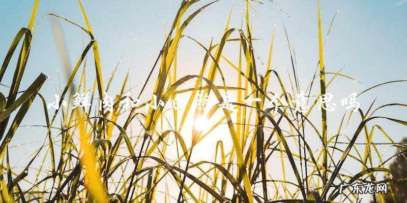 小鲜肉 vs 小白脸：他们真的是同一种类型吗？