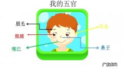 五官是哪五官？眼睛、鼻子、嘴巴哪个才是你的最爱呢？