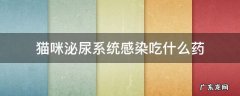 猫咪泌尿系统感染吃什么药 猫咪泌尿感染吃什么药好