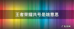 王者荣耀共号是啥意思 王者共号危害