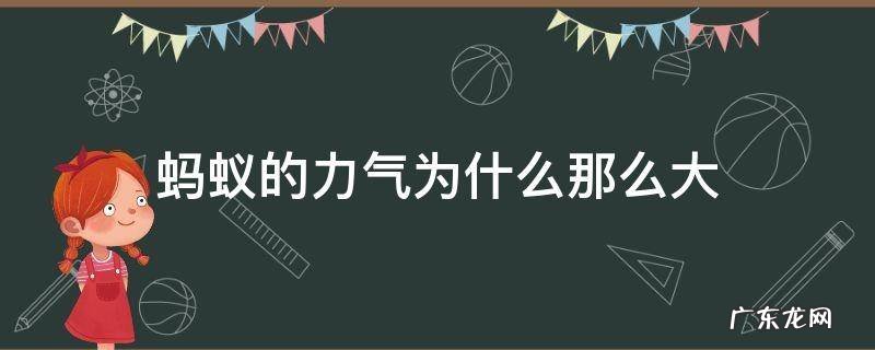 蚂蚁的力气为什么那么大 蚂蚁的力气为什么那么大?