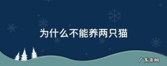 家里为什么不能养两只猫 为什么不能养两只猫