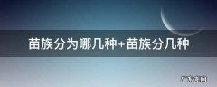 苗族分为哪几种 苗族分为哪几种分别代表什么