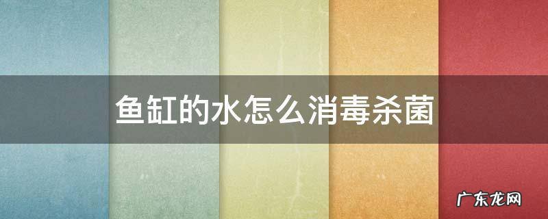 鱼缸可以用消毒水消毒杀菌吗 鱼缸的水怎么消毒杀菌