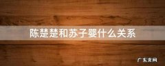 陈楚楚和苏子婴什么关系 苏子婴喜欢陈楚楚吗