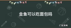 金鱼可以吃面包吗 金鱼可以吃面包吗超小条的金鱼
