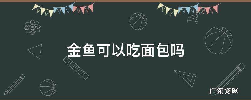 金鱼可以吃面包吗 金鱼可以吃面包吗超小条的金鱼