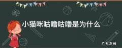 小猫咪咕噜咕噜是为什么 小猫咪为什么会咕噜