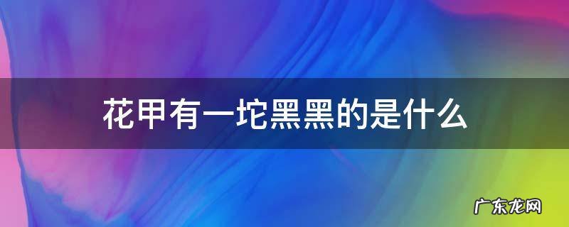 花甲有一坨黑黑的是什么 花甲有一坨黑黑的是什么怎么去除