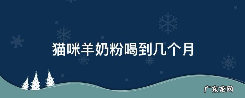 猫咪羊奶粉喝到几个月 猫咪喝羊奶粉可以喝到几月份
