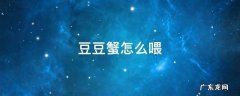 豆豆蟹多久喂一次 豆豆蟹怎么喂