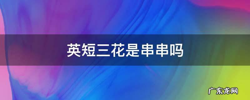 英短三花是串串吗 三花猫和英短串什么样子