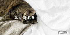 如何一步一步画出腕龙的简笔画？
