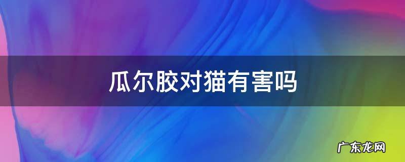 猫条瓜尔胶对猫有害吗 瓜尔胶对猫有害吗