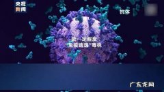 电脑新变种病毒backdoor_ghost.bt怎么防范