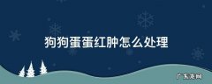 狗狗蛋蛋红肿怎么办 狗狗蛋蛋红肿怎么处理
