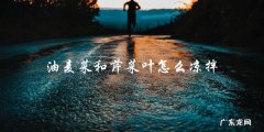 凉拌油麦菜和芹菜叶的简单做法！