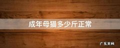 成年母猫多少斤正常 成年母猫多少斤正常狸花猫