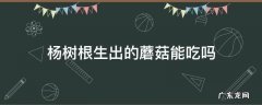 杨树根部长出的蘑菇可不可以吃 杨树根生出的蘑菇能吃吗