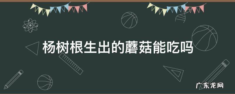 杨树根部长出的蘑菇可不可以吃 杨树根生出的蘑菇能吃吗