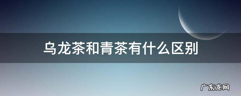 乌龙茶和青茶有什么区别 乌龙茶和青茶的区别