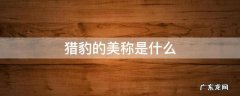 猎豹的美称是什么鸽子的美称是什么 猎豹的美称是什么
