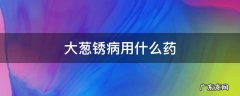 大葱锈病用什么药 大葱锈病用什么药防治
