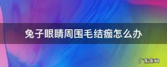 兔子眼睛周围毛结痂怎么办用什么药 兔子眼睛周围毛结痂怎么办
