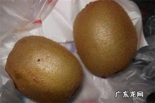冬天猕猴桃怎么催熟快一点