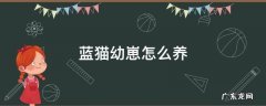 蓝猫幼崽怎么养 两个月蓝猫幼崽怎么养