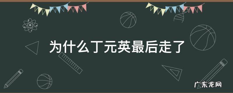 丁元英自嘲后其他人为什么走啦 为什么丁元英最后走了