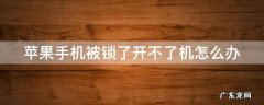 苹果手机被锁了开不了机怎么办 苹果手机被上锁了打不开了怎么办