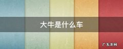 兰博基尼大牛是什么车 大牛是什么车