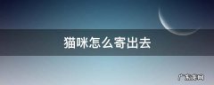猫咪怎么寄出去 猫咪怎么寄过来