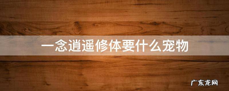 一念逍遥体修选哪个宠物 一念逍遥修体要什么宠物