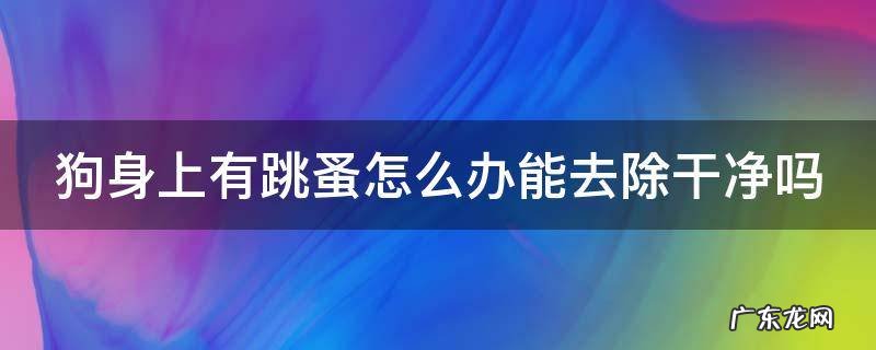 狗身上有跳蚤怎么办能去除干净吗 跳蚤最怕的三种药
