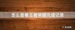王者荣耀如何查充值记录 怎么查看王者荣耀充值记录